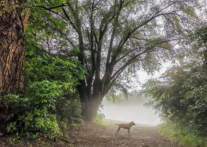 Niceprice 24h Oberhofen im Inntal