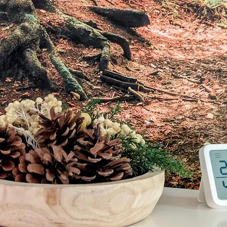 Affittacamere Niceprice 24h 3*