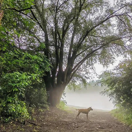 Niceprice 24h Oberhofen im Inntal